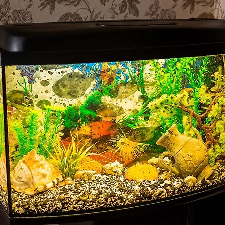 Apartment аpartments On The Square Of Danylo Halytskyi