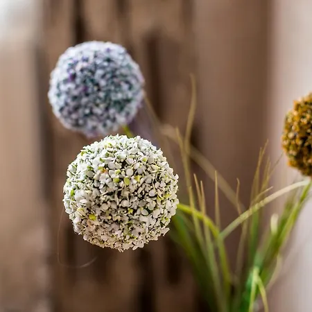 аpartments On The Square Of Danylo Halytskyi شقة