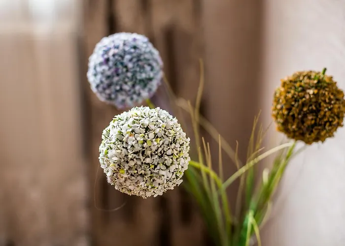 аpartments On The Square Of Danylo Halytskyi Apartamento