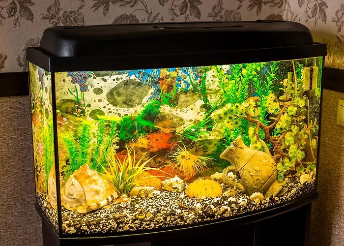 Apartamento аpartments On The Square Of Danylo Halytskyi